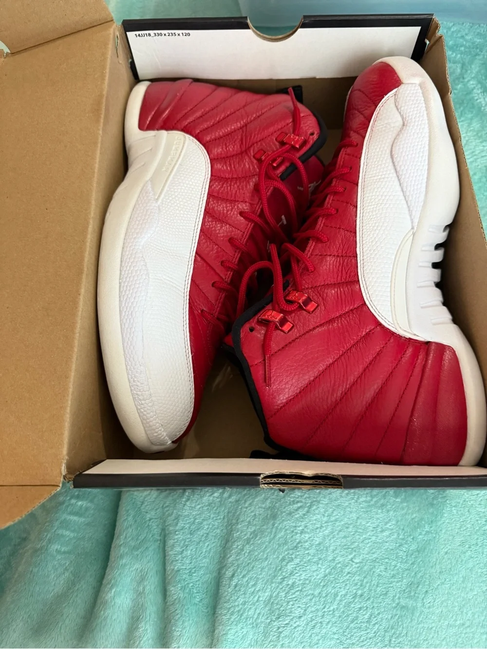 Air Jordan 12 Retro 